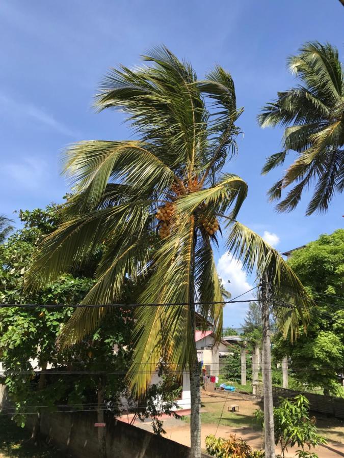 Wh Beach Resort Weligama Luaran gambar